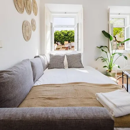 Luxurious 4-Bedroom Apartment
